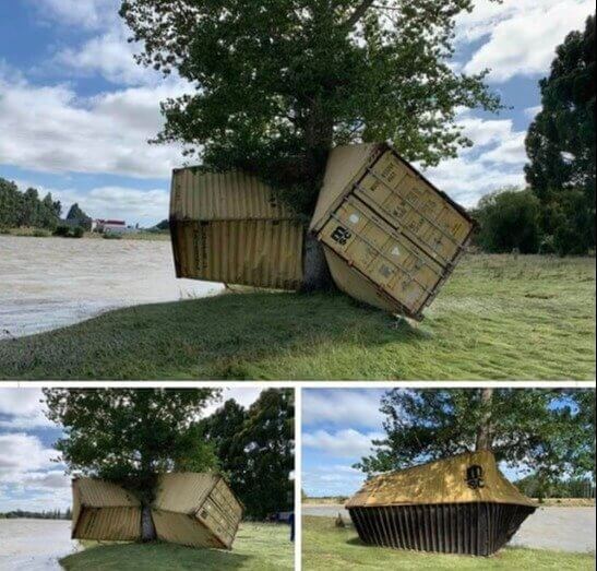 A árvore eterna e robusta