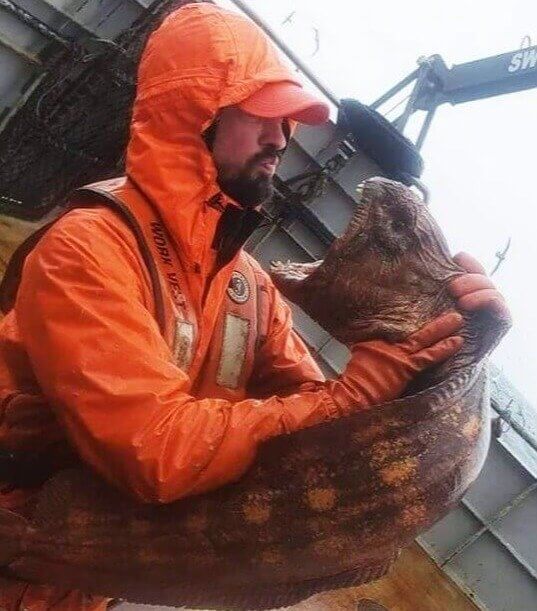 A incrível enguia-lobo