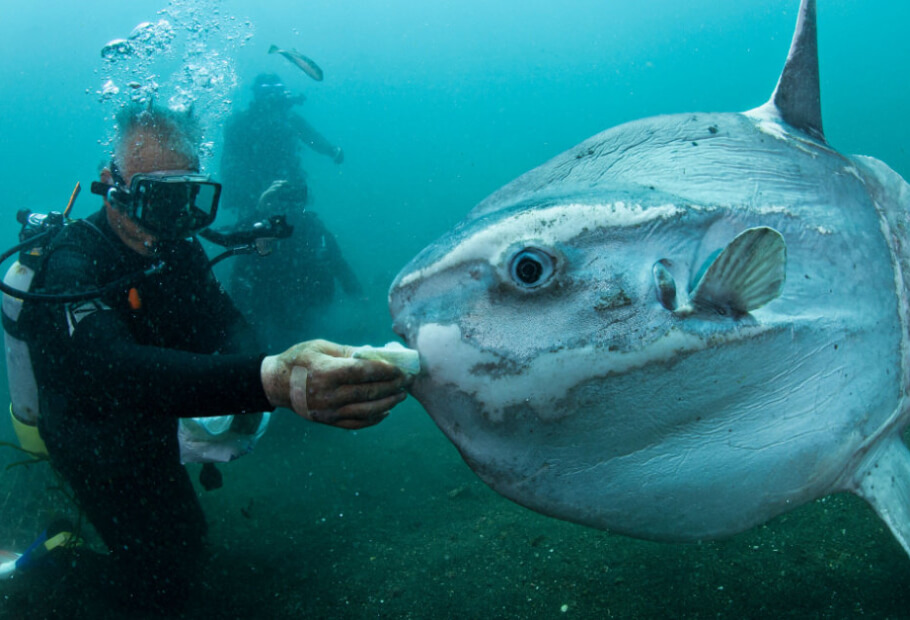 Rare Photos of Mother Nature's Most Unique Moments