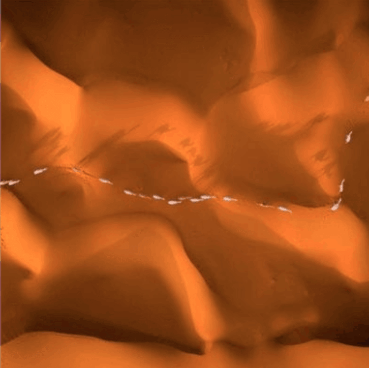 Desert Lines