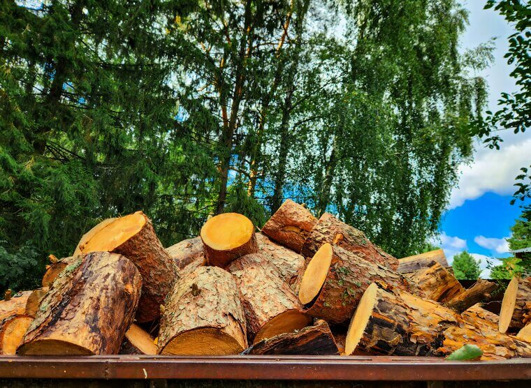 Storing Firewood Indoors or Next to the Wall