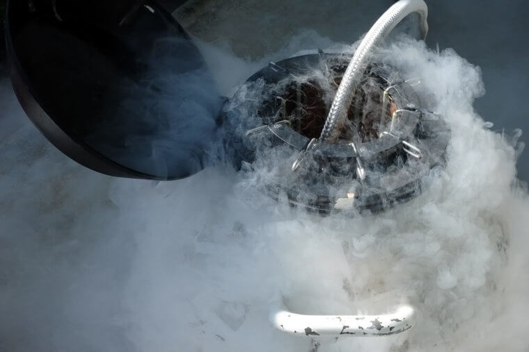 Walt Disney Froze His Body