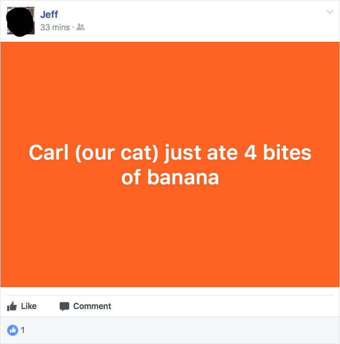 Jeff Sharing The Important Information