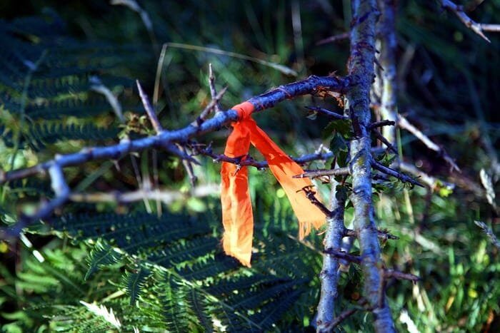 Biodegradable Trail Markers