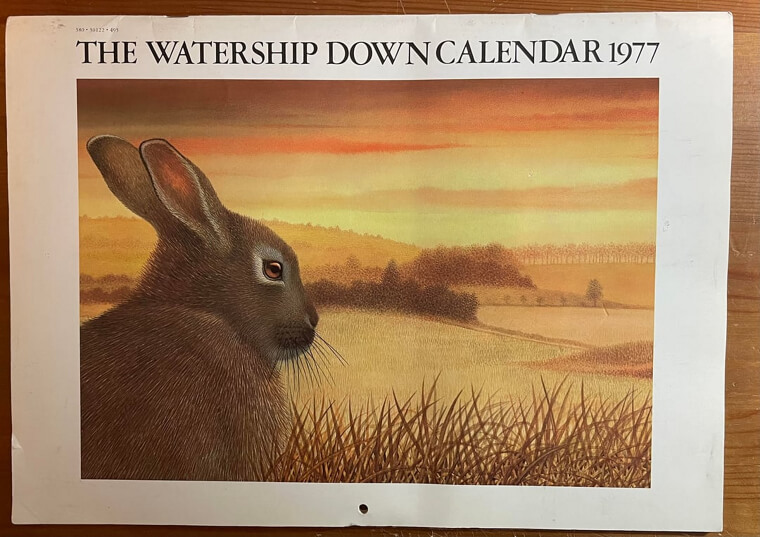 The Wall Calendar
