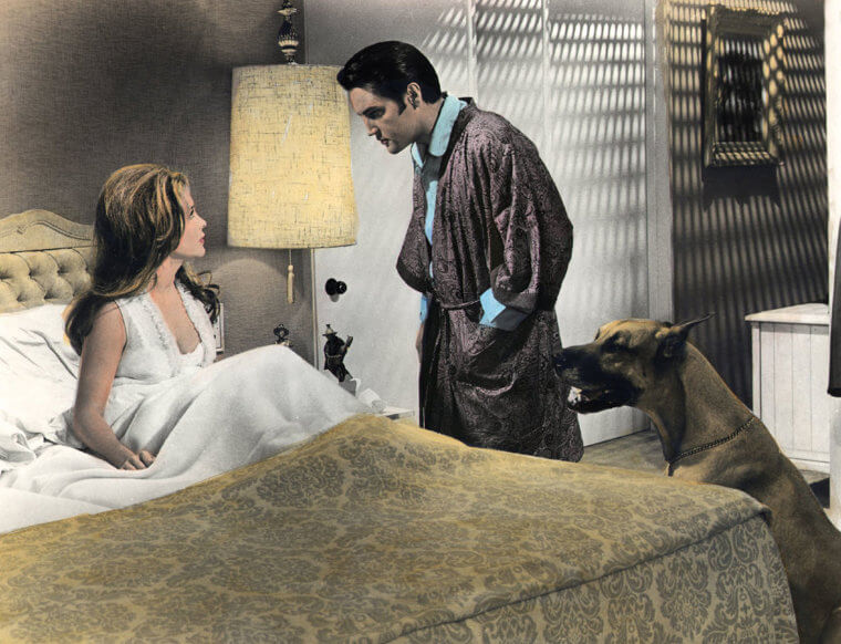 Navigating Elvis's Possessiveness