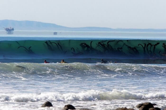 The Moment You Realize Sea Monsters Are Real
