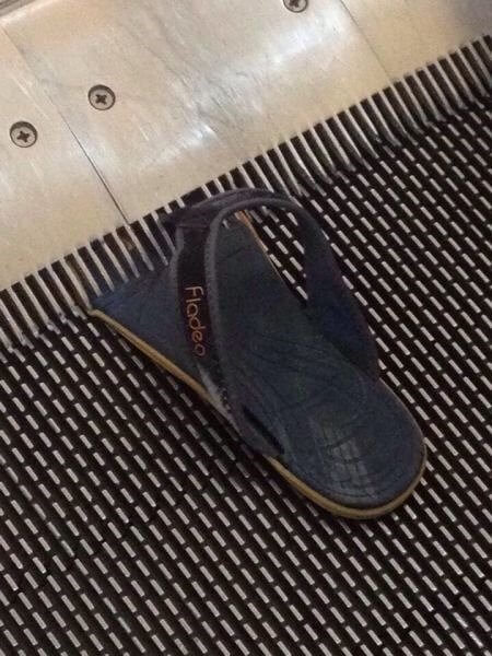 The Hungry Escalator