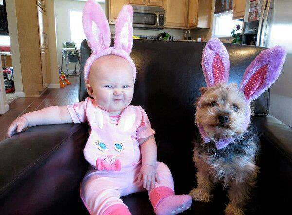Ads With Puppies and Children Make Them More Relatable