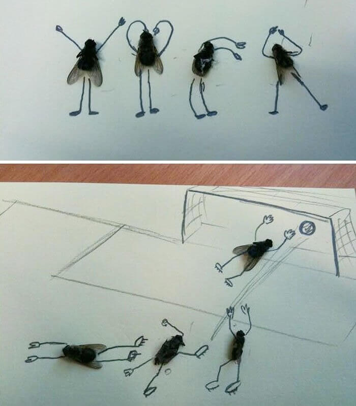 Those Pesky Office Bugs (no, Not Your Coworkers)