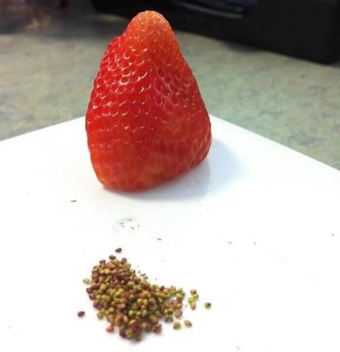 Unbelievable Levels of Boredom