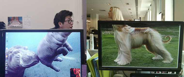 All Those "Funny" Pranks