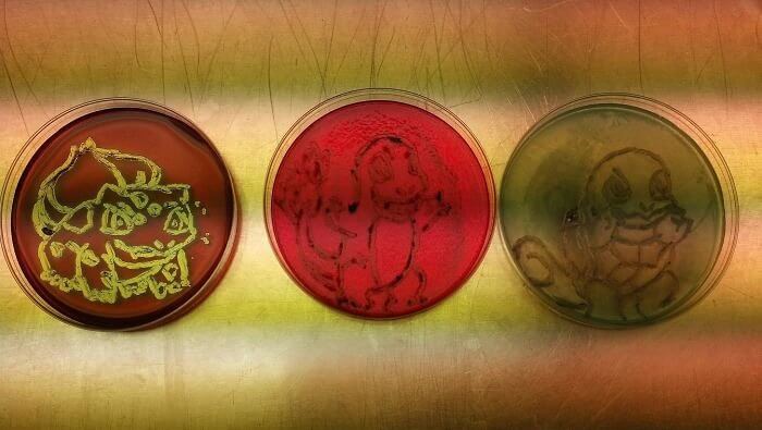 Not Your Typical Pokemon