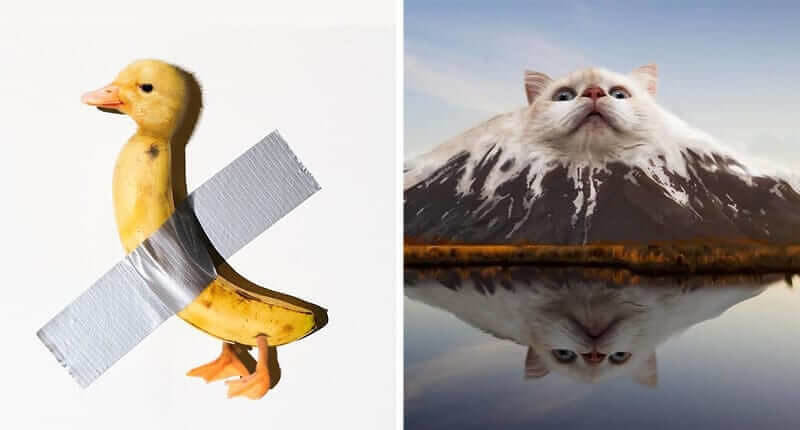 45 Hilarious Pictures Of Animals Edited Into Random Objects