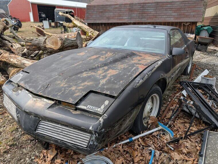 1982 Pontiac Firebird S/E