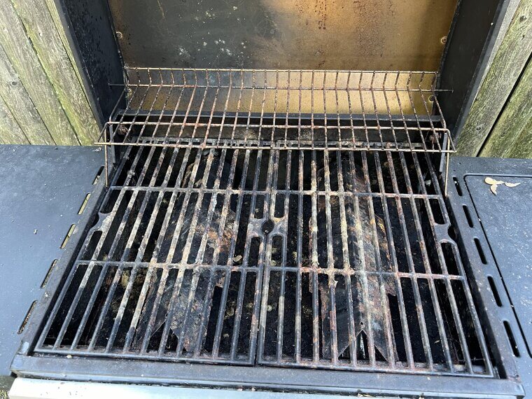 The Onion Trick: Cleaning Grill Grates With a Halved Bulb