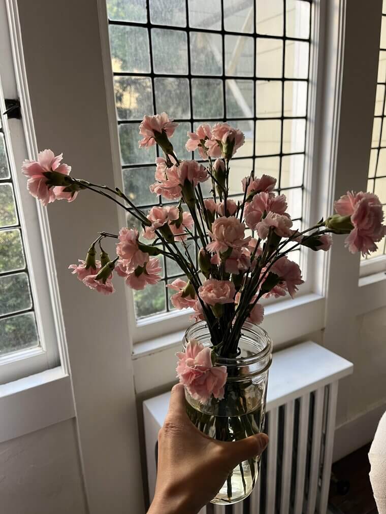 The Floral Fountain: Reviving Wilted Flowers With a Dash of Sugar