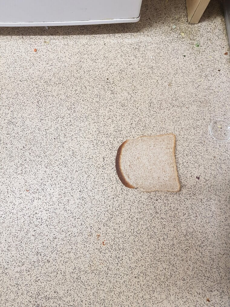 The Bread Magnet: Safely Picking Up Tiny Glass Shards