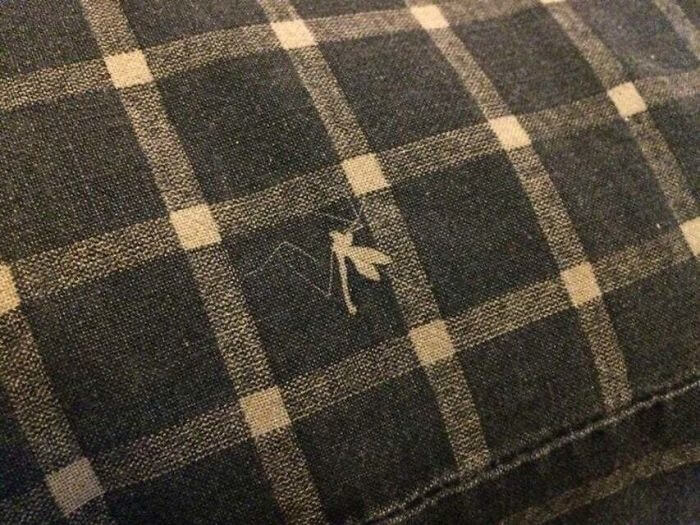 A Mosquito Got Stuck Between The Printer And The Pillow Case In The Factory