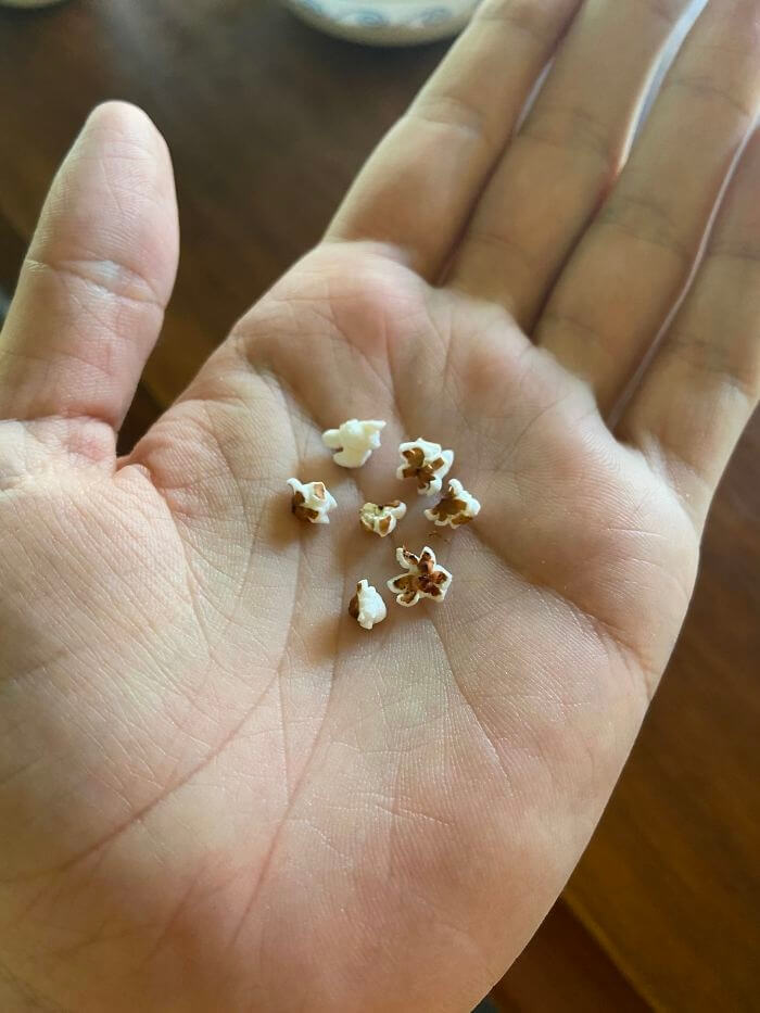 Birdseed After Going In The Microwave Looks Like Popcorn