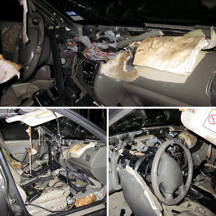 When A Bear Breaks Into Your Car