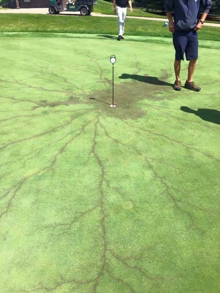 What It Looks Like When Lightning Strikes A Flagpole On A Golf Course