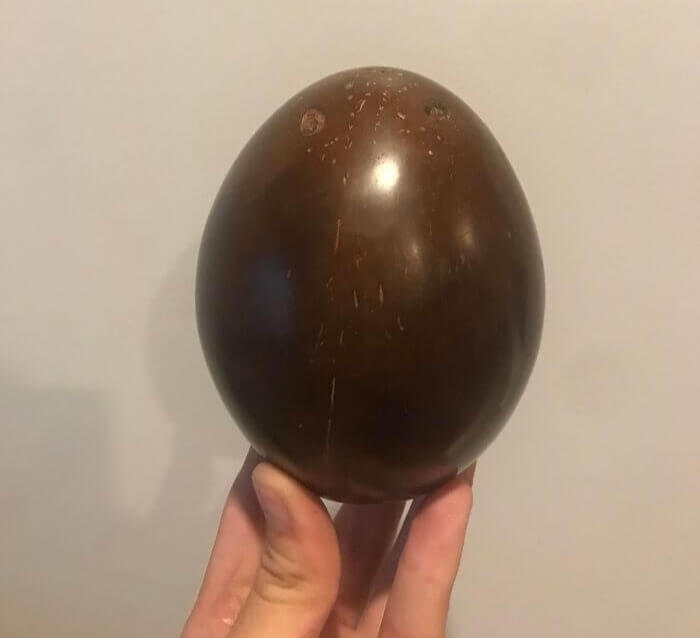 A Fully Polished Coconut