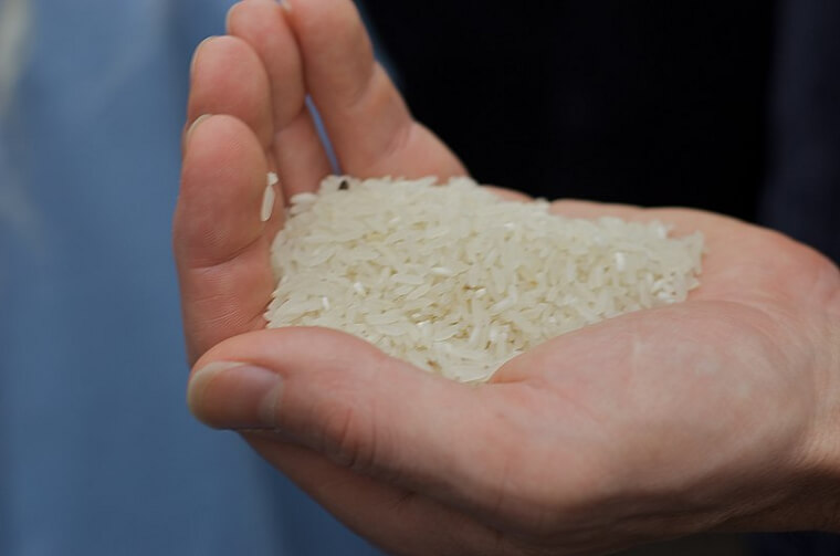 White Rice