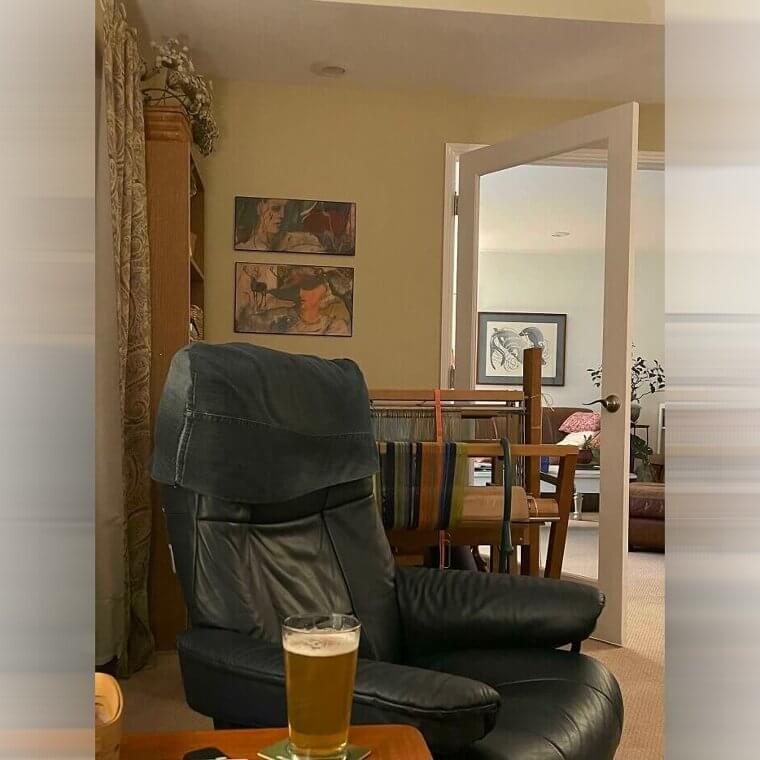 Où est passé le chat ?