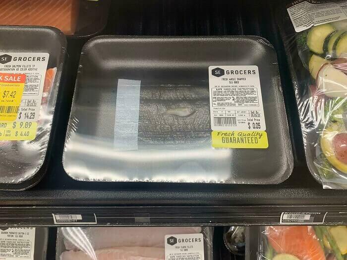 Trouve le poisson