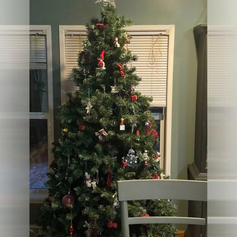 Il y a un chat dans l'arbre de Noël