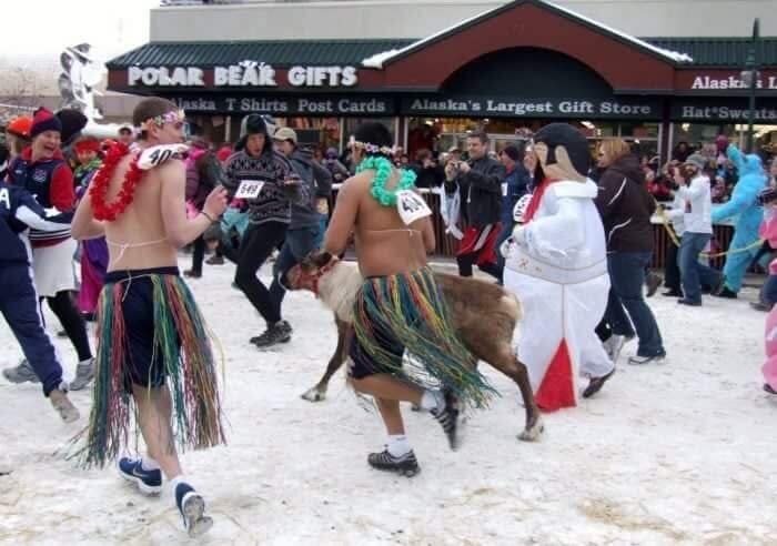 There Is A Yearly Race With Reindeer
