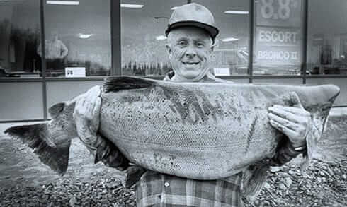 The Largest Salmon Caught Was 97.5 Pounds
