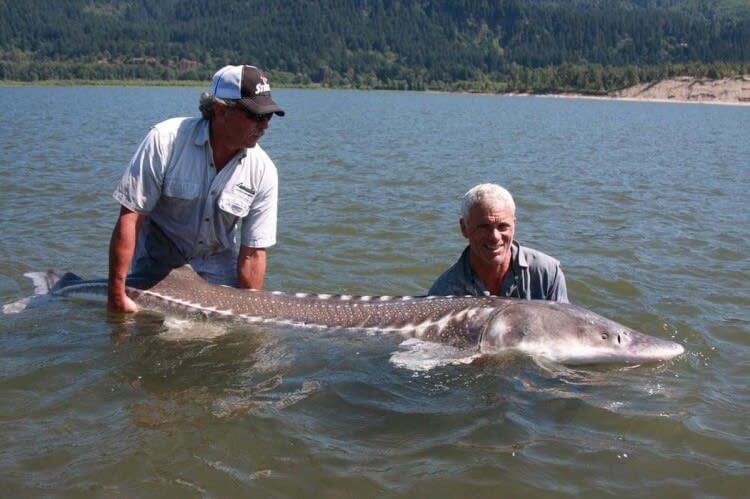 There is a Legendary River Monster In One Of The Lakes