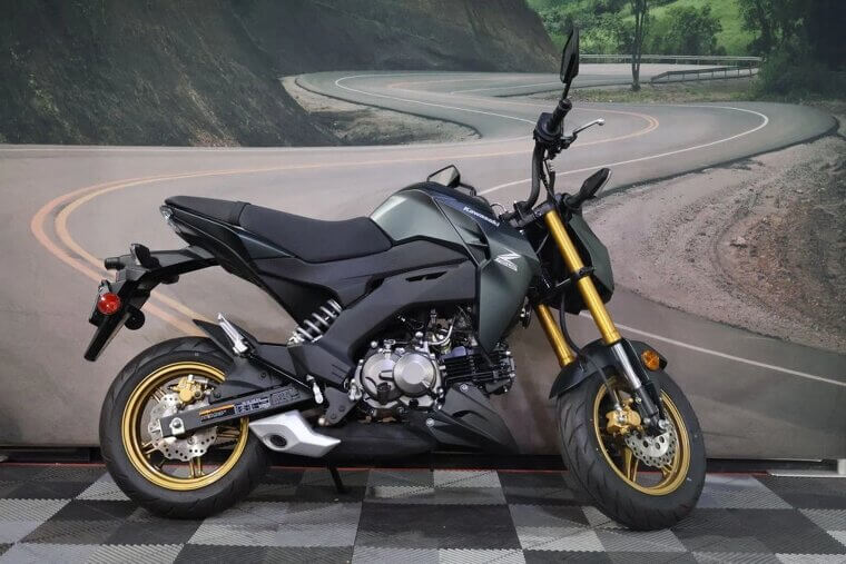 2025 Kawasaki Z125 PRO