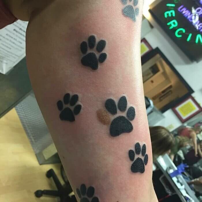 Birthmark Becomes A Paw Print