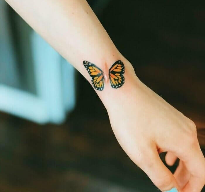 Not A Fish This Time