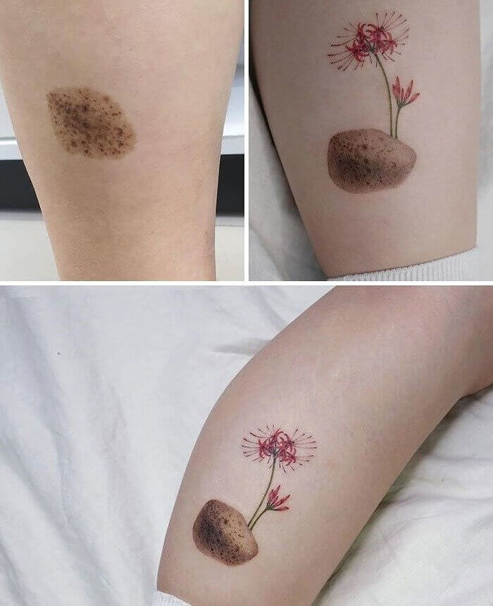 Pretty Little Lilies