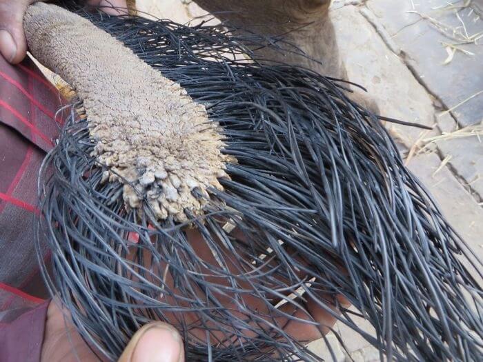 No Worries About Getting Split Ends