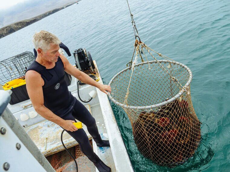 Diving into New Adventures with Marine Exploration