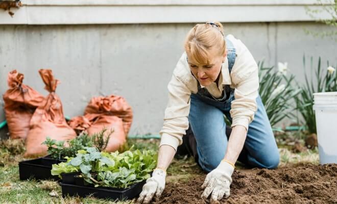 The Hobbies Retirees Regret Not Picking up Earlier