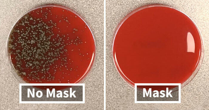 Regarde Ce Test De La Covid Pour Le Port D'un Masque Par Rapport À L'absence De Masque