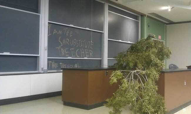 Meet Shrubbie The New Shrubstitute Teacher For The Day