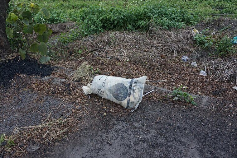 Fertilizing Incorrectly