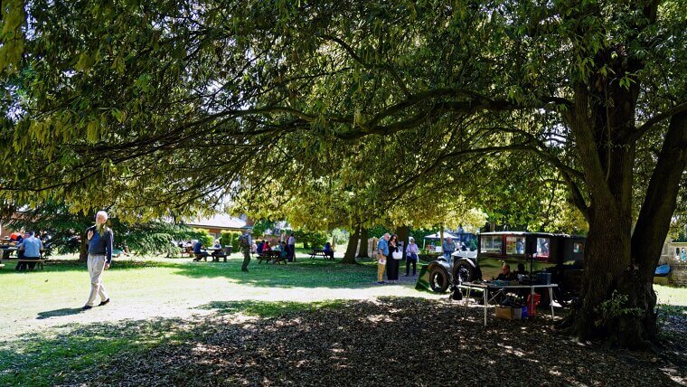 Neglecting Shade Management