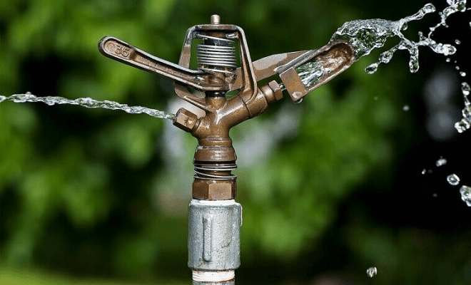 Ways You Are Ruining Your Lawn Every Summer