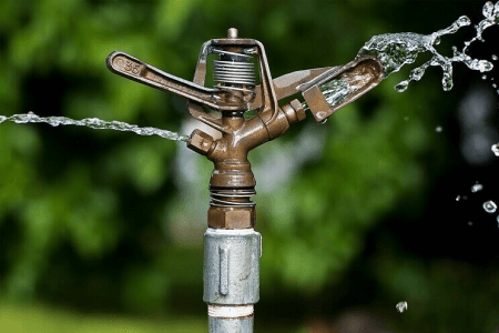 Ways You Are Ruining Your Lawn Every Summer