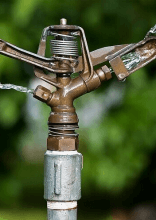 Ways You Are Ruining Your Lawn Every Summer