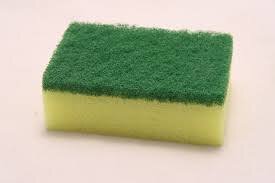 Sponges