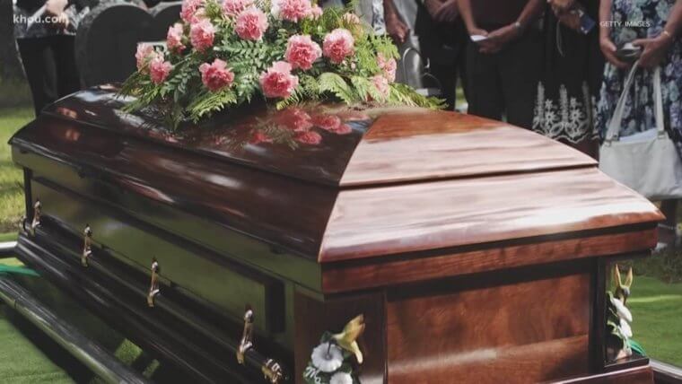 "The Circle Of Life"